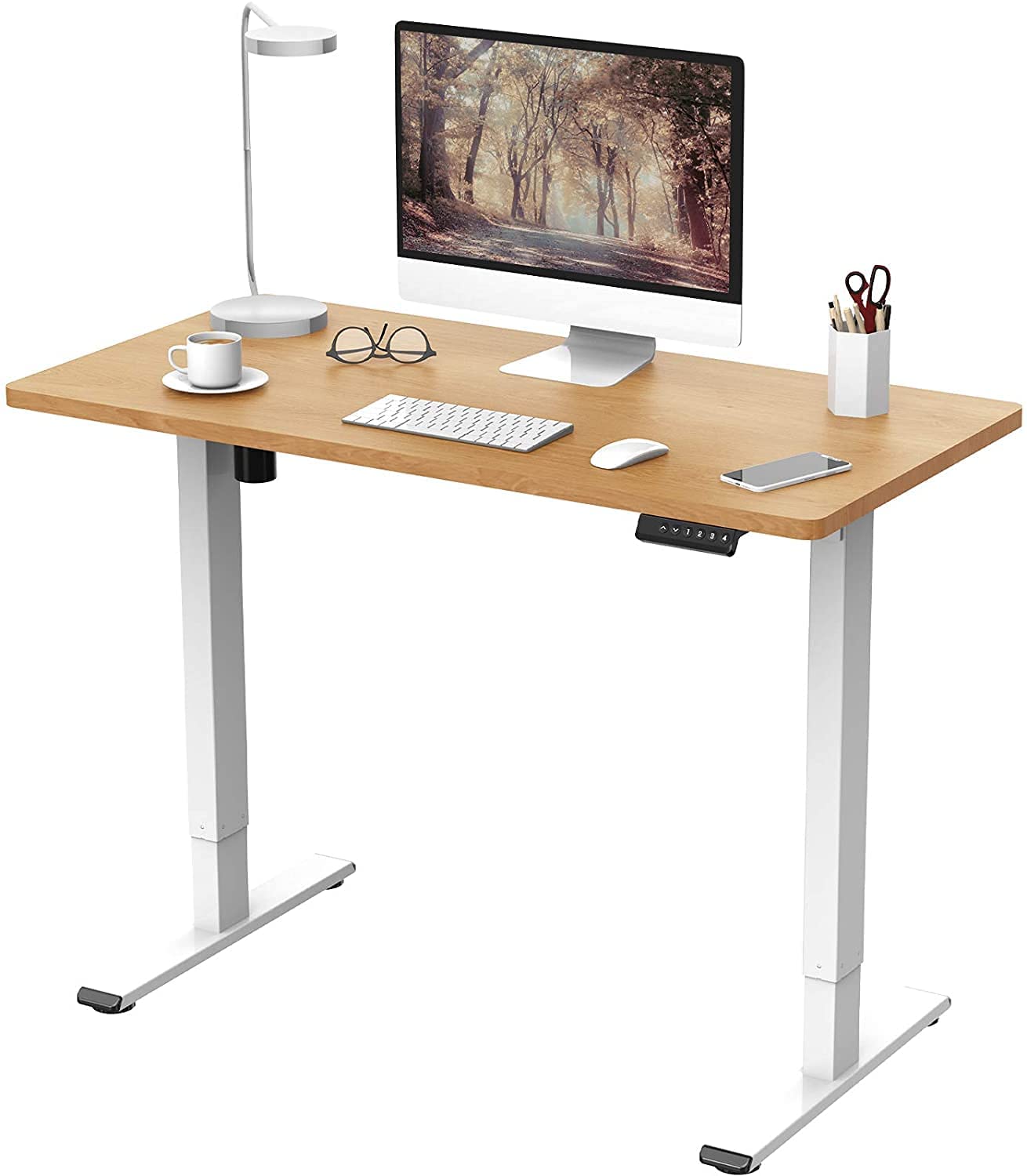 Flexispot electric sit-stand desk